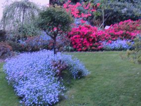 jardin fleuri